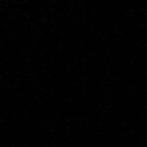 Meet your Posher, Elizsbeth